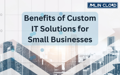 Benefits of Custom IT Solutions for Small Businesses